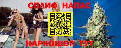 mdpv Усть-Джегута