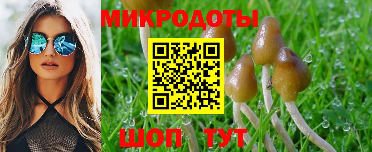 Галлюциногенные грибы мухоморы  Галлюциногенные грибы Psilocybine cubensis  Норильск  Вход с VPN 